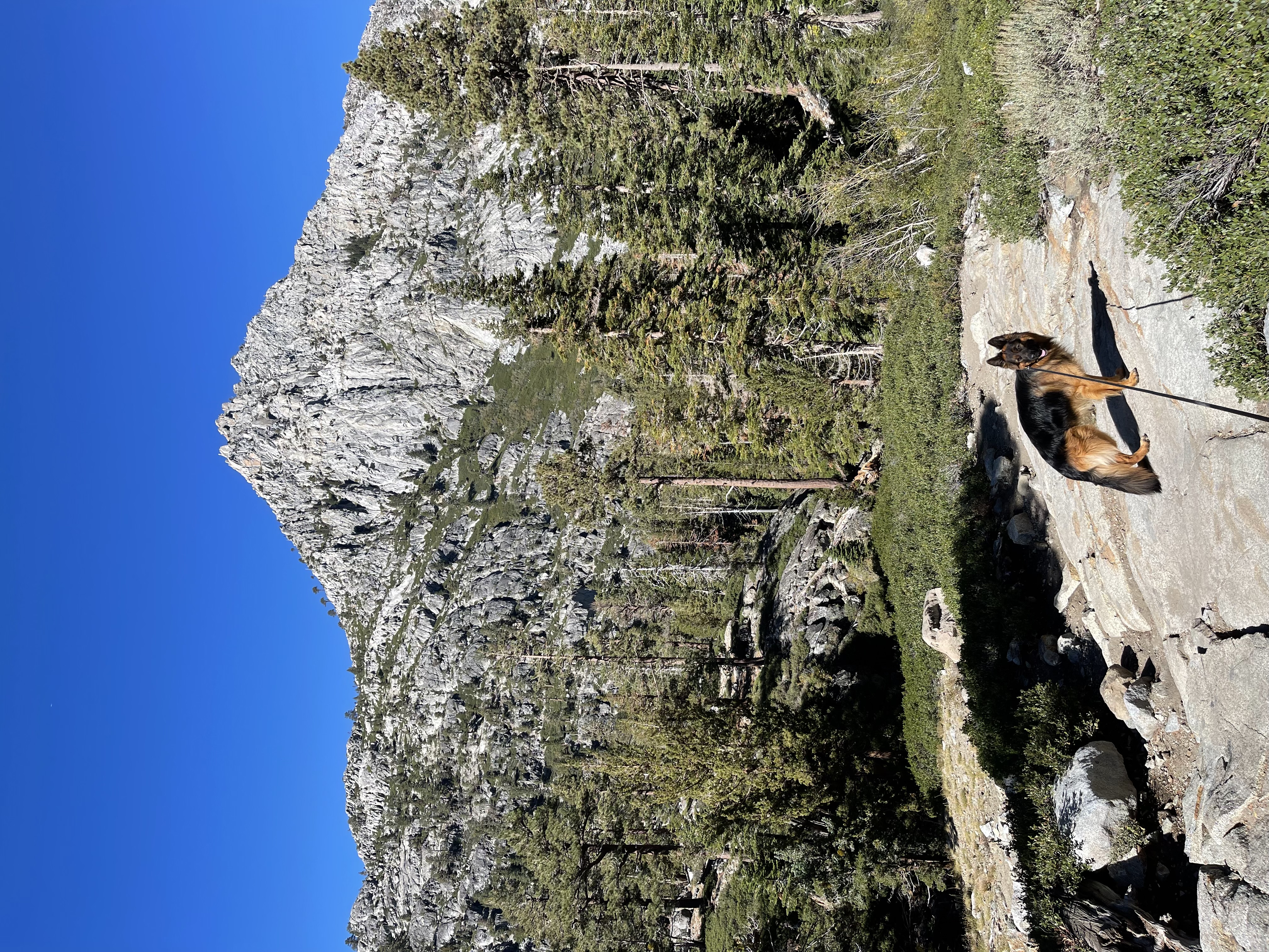 Lake Tahoe Photo 5966