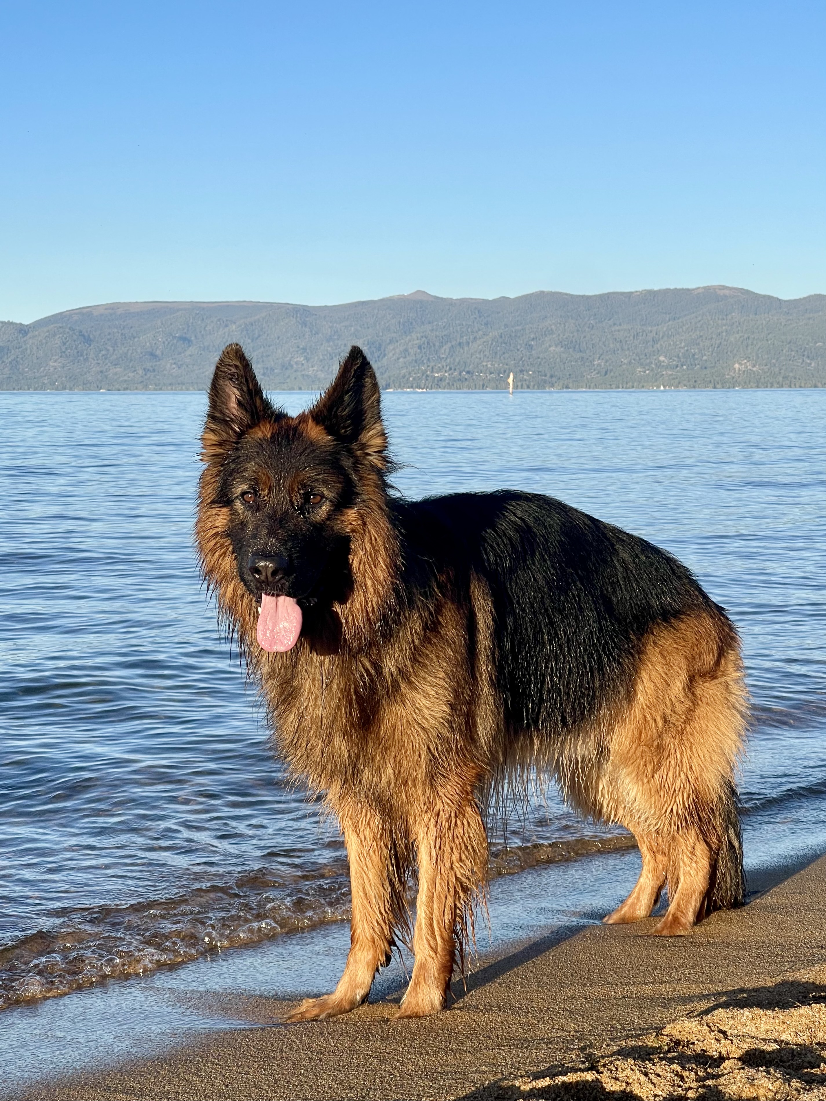 Lake Tahoe Photo 6068