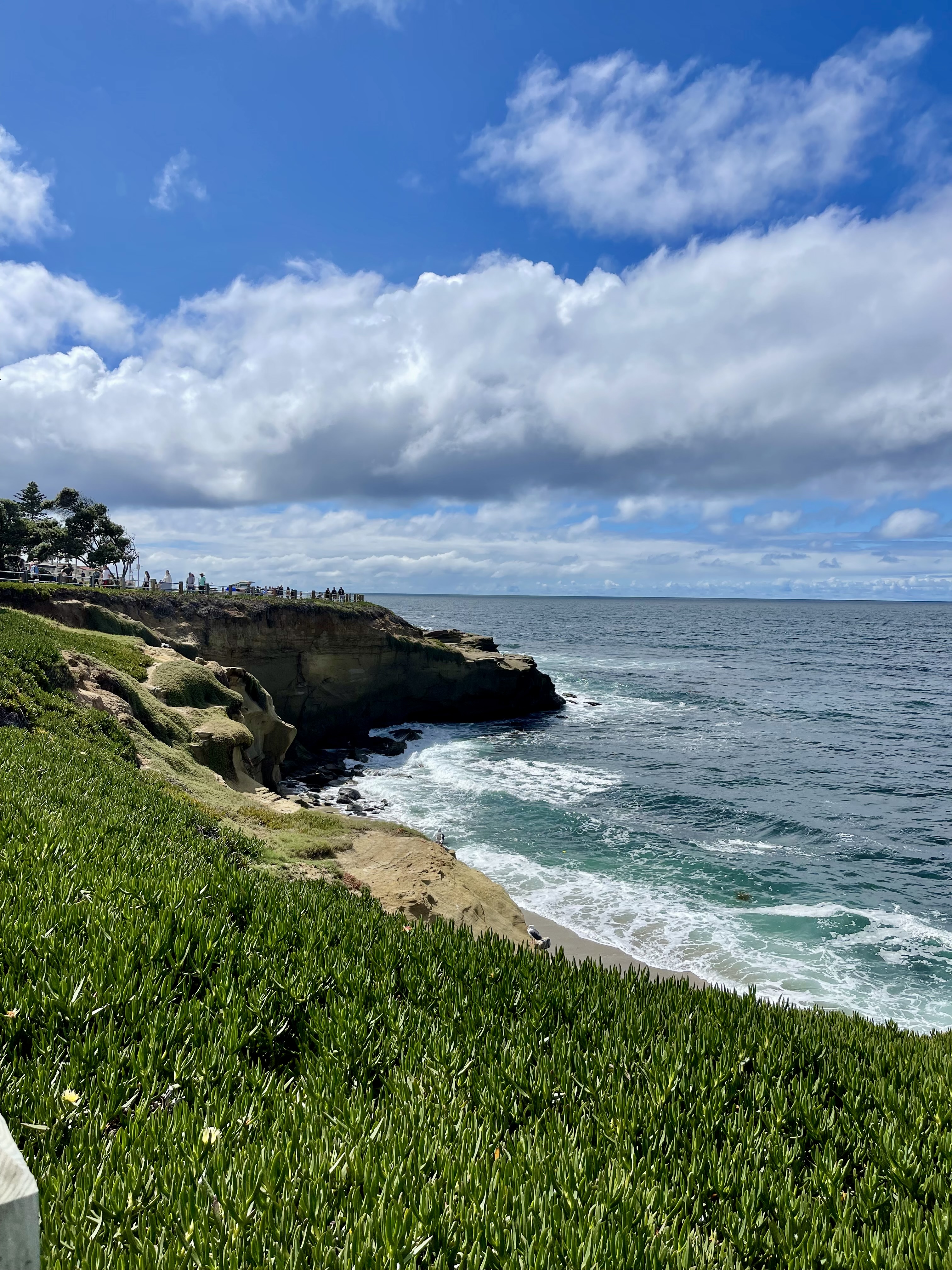 San Diego Photo 5470