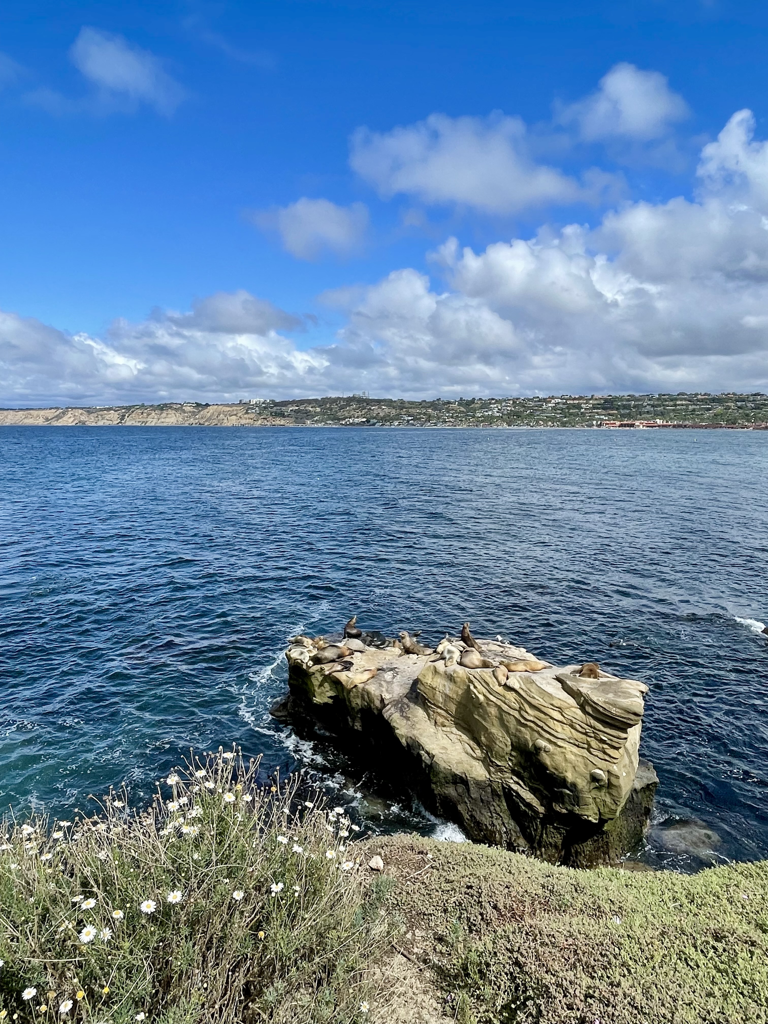 San Diego Photo 5473