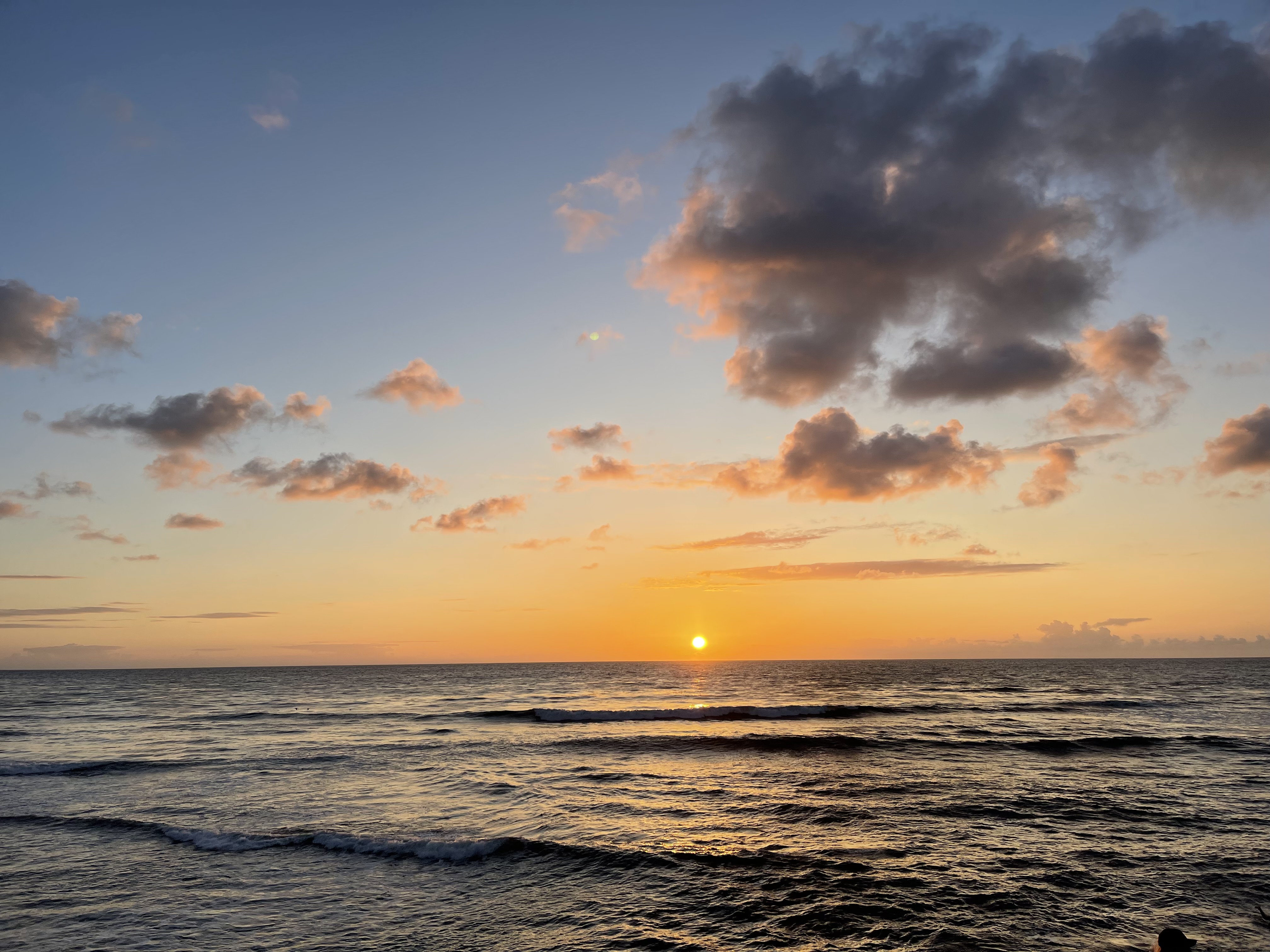 San Diego Photo 5684