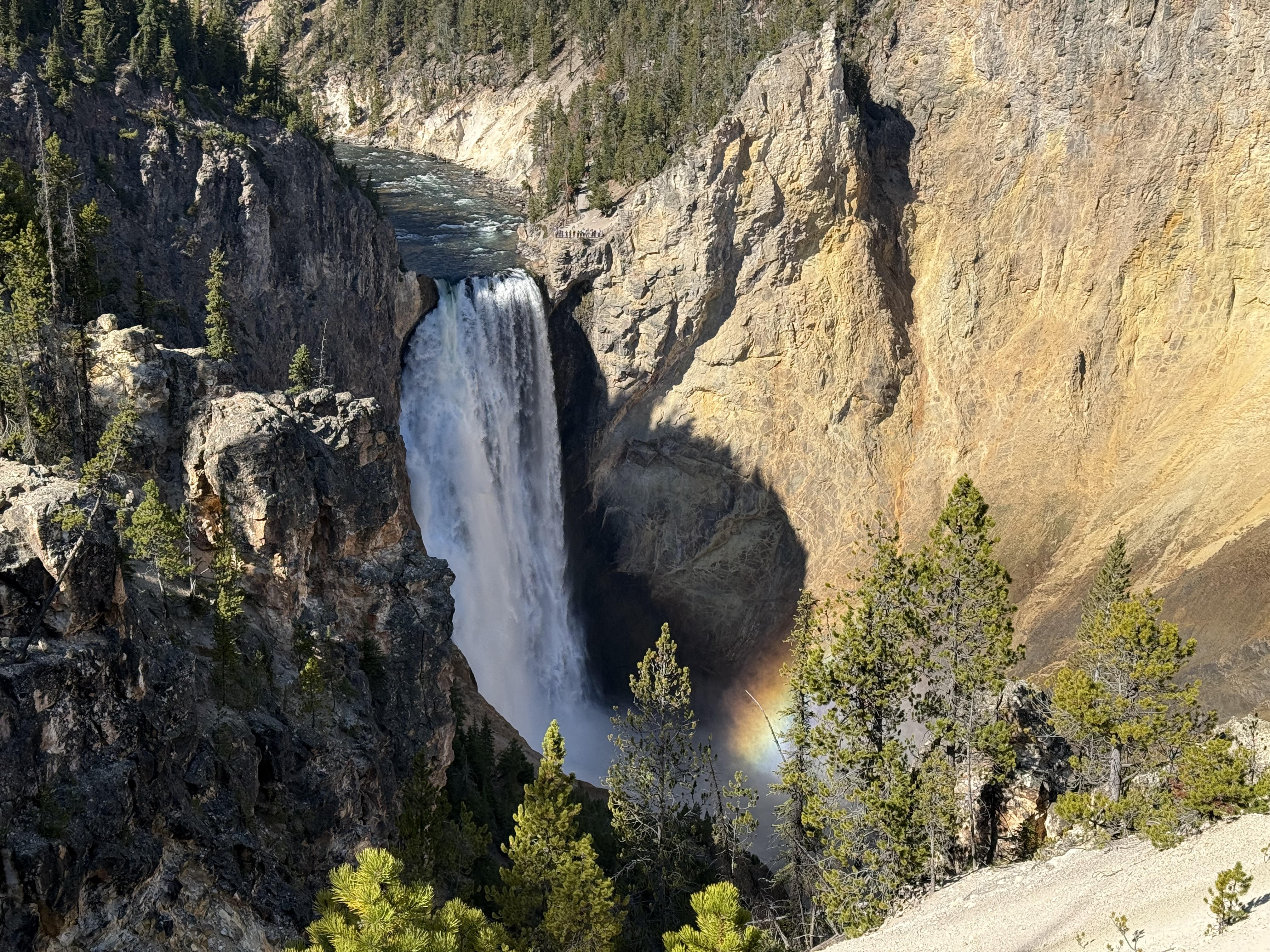 Yellowstone Photo 0276