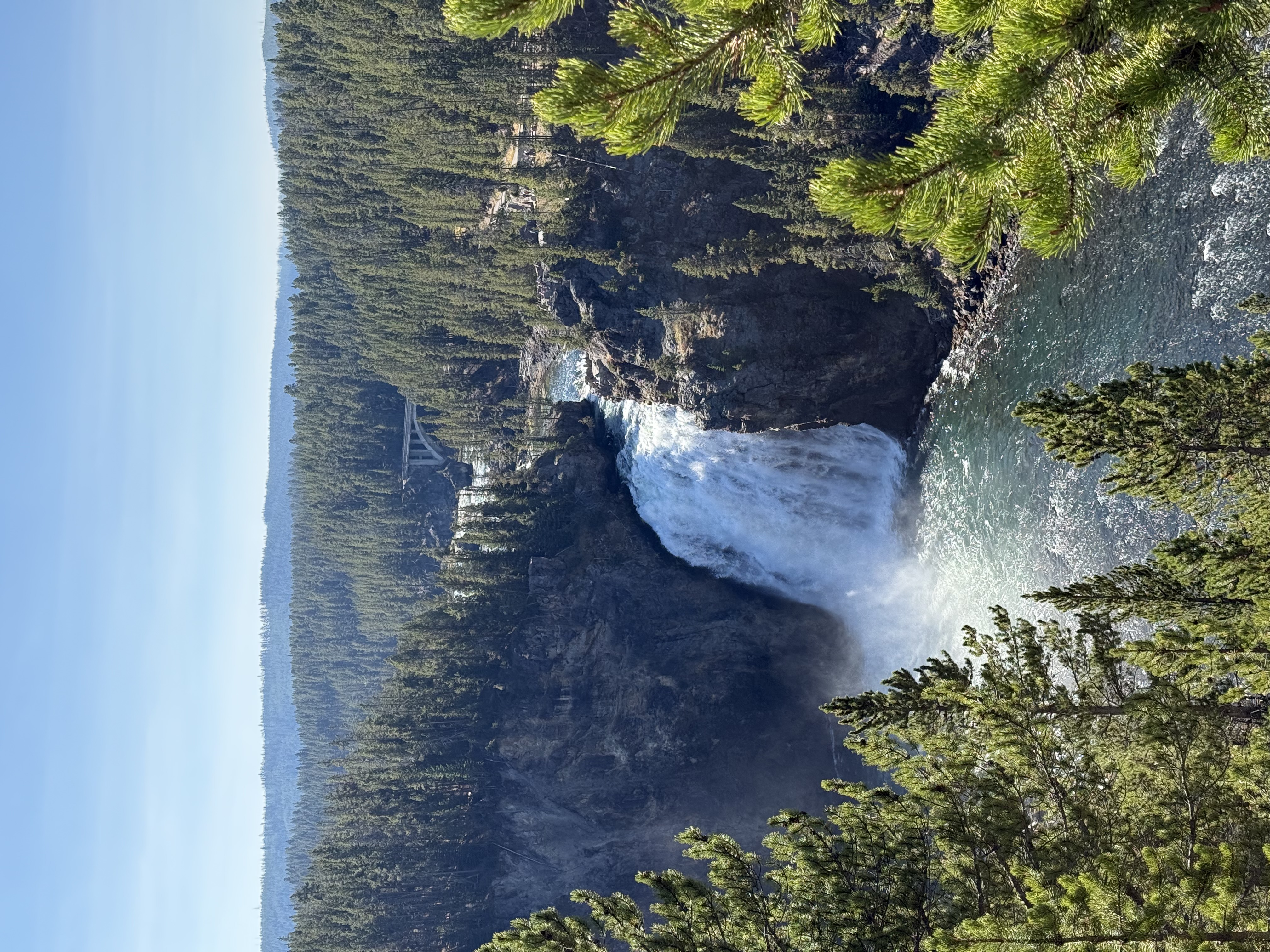 Yellowstone Photo 0298