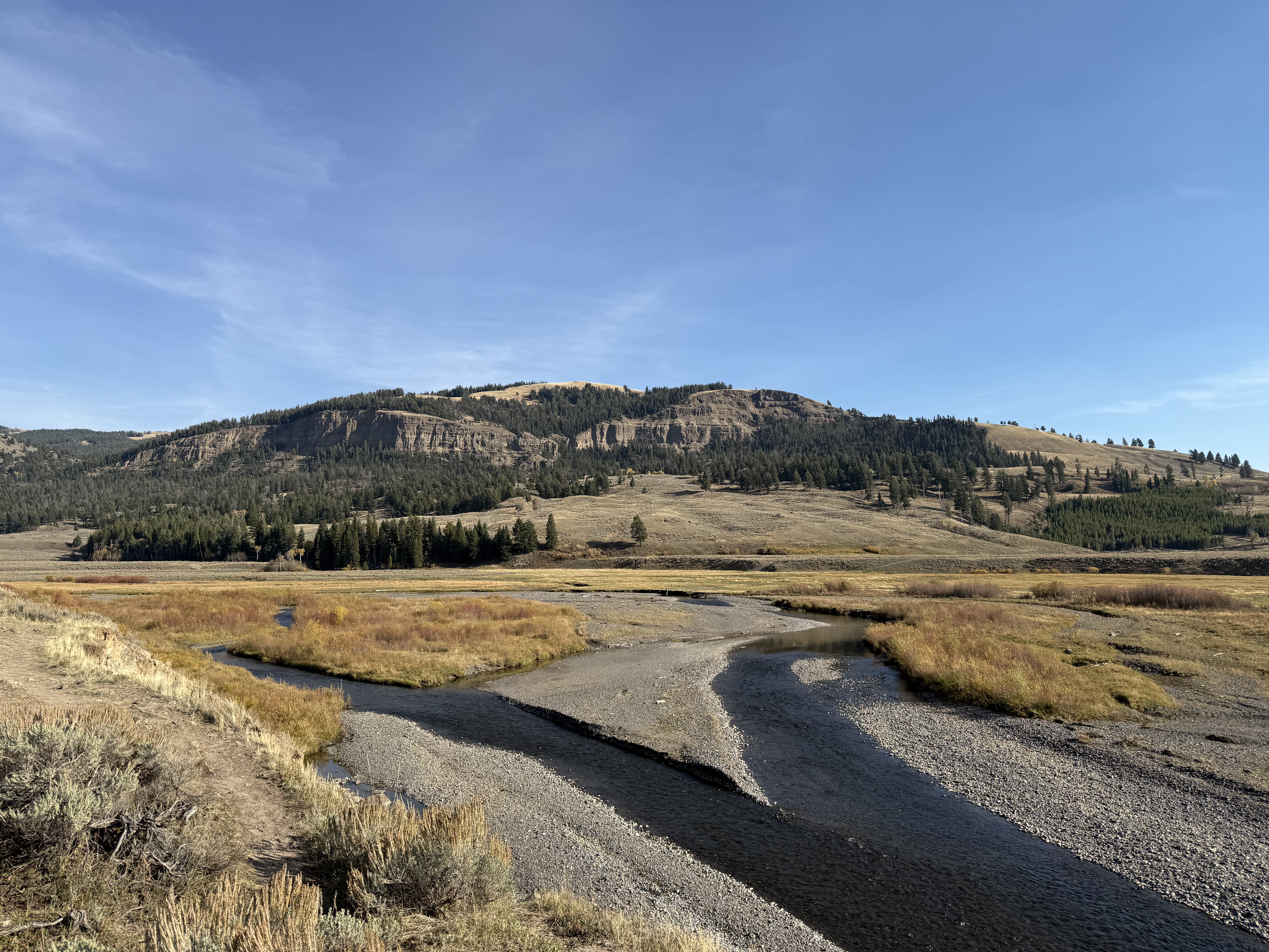 Yellowstone Photo 0326