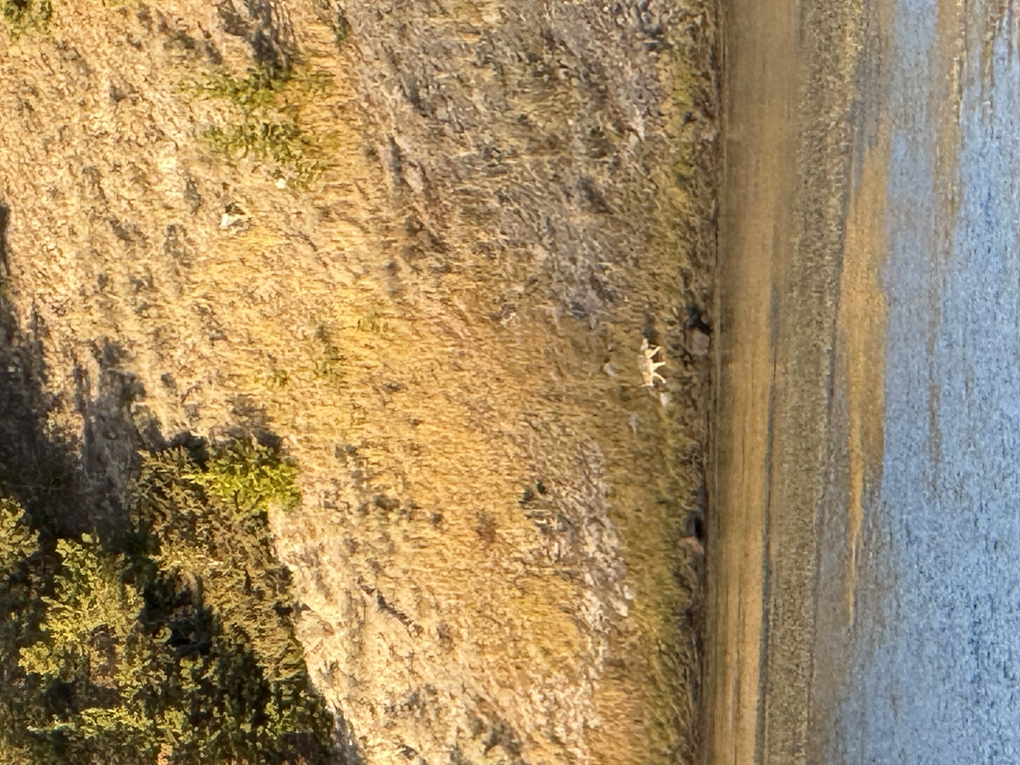 Yellowstone Photo 0440