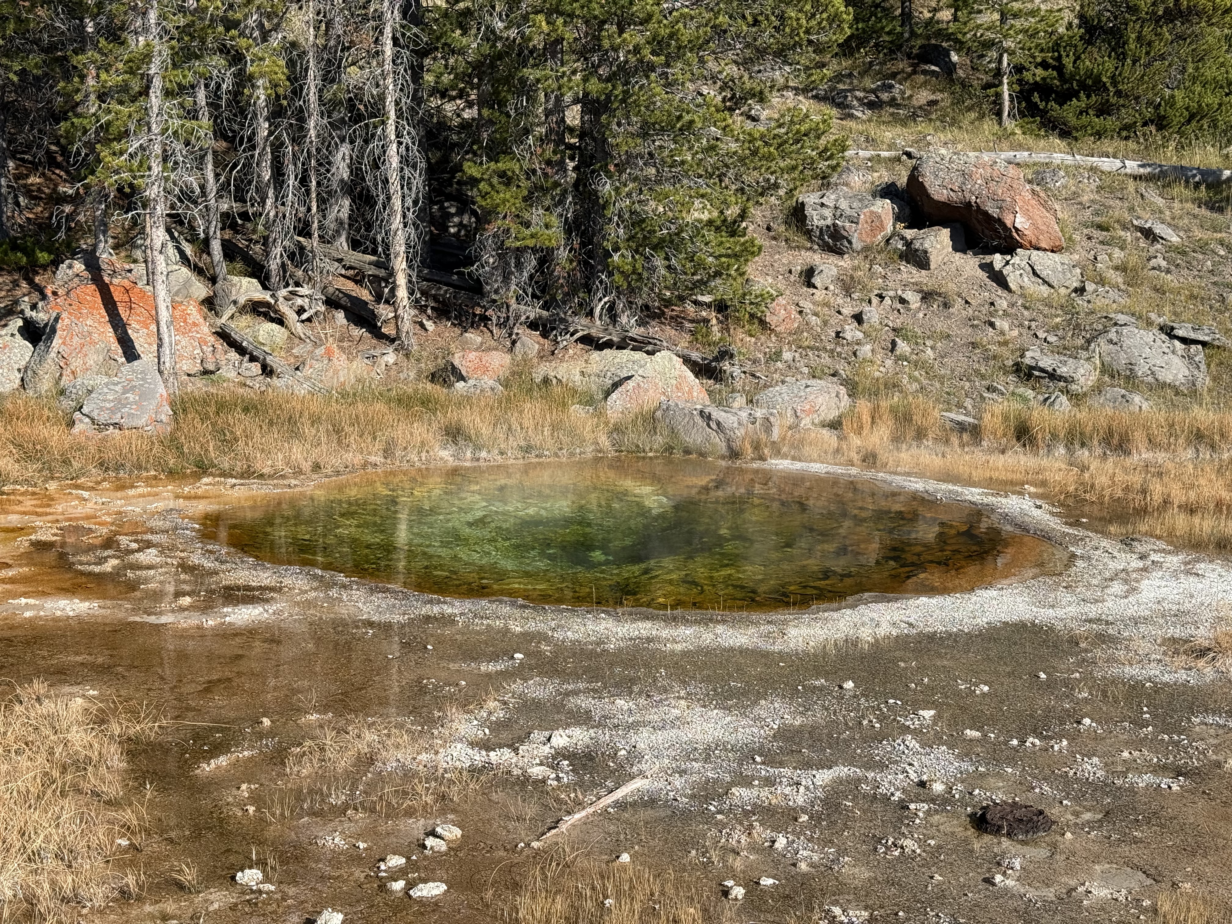 Yellowstone Photo 0505