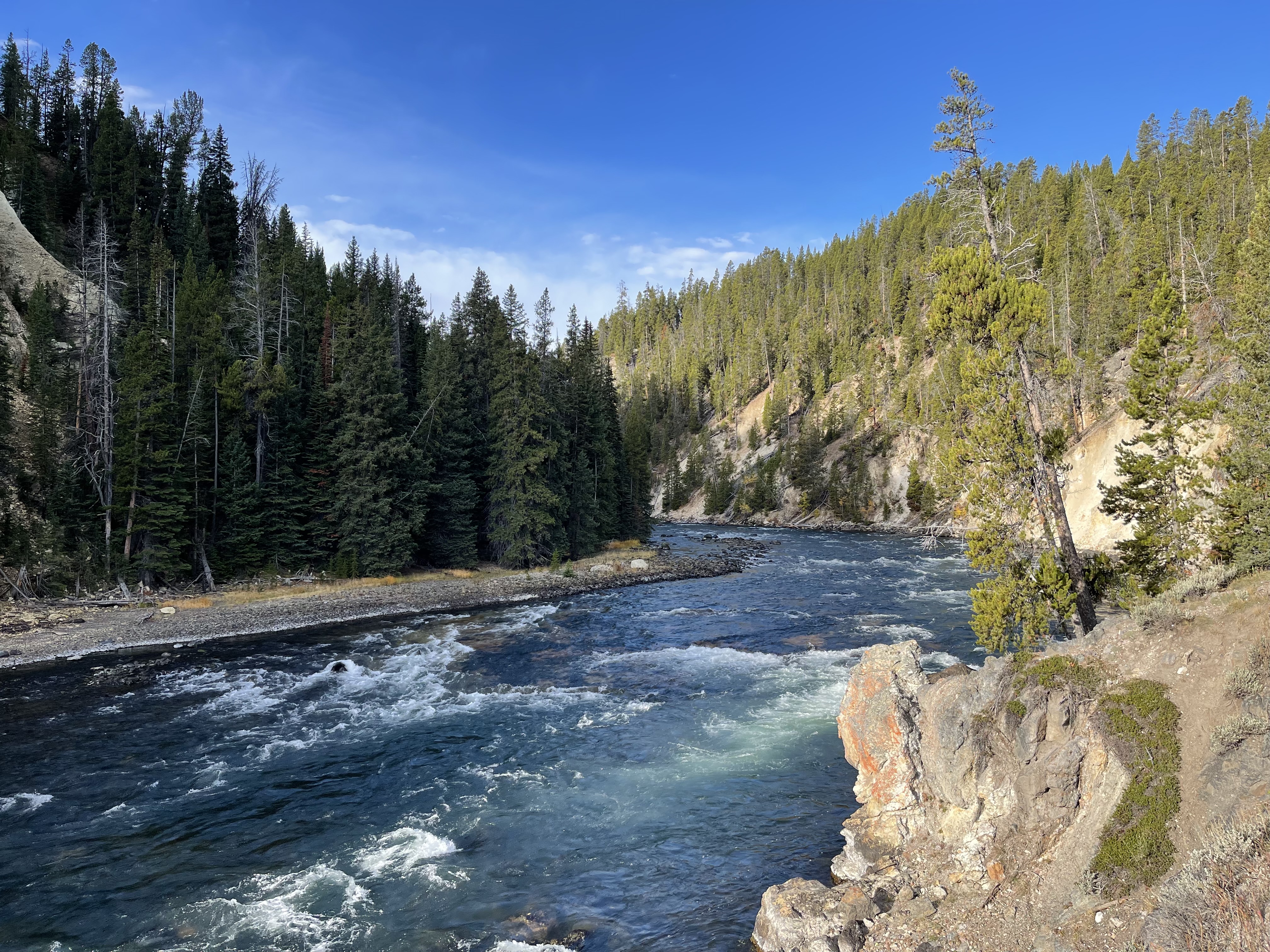 Yellowstone Photo 6289