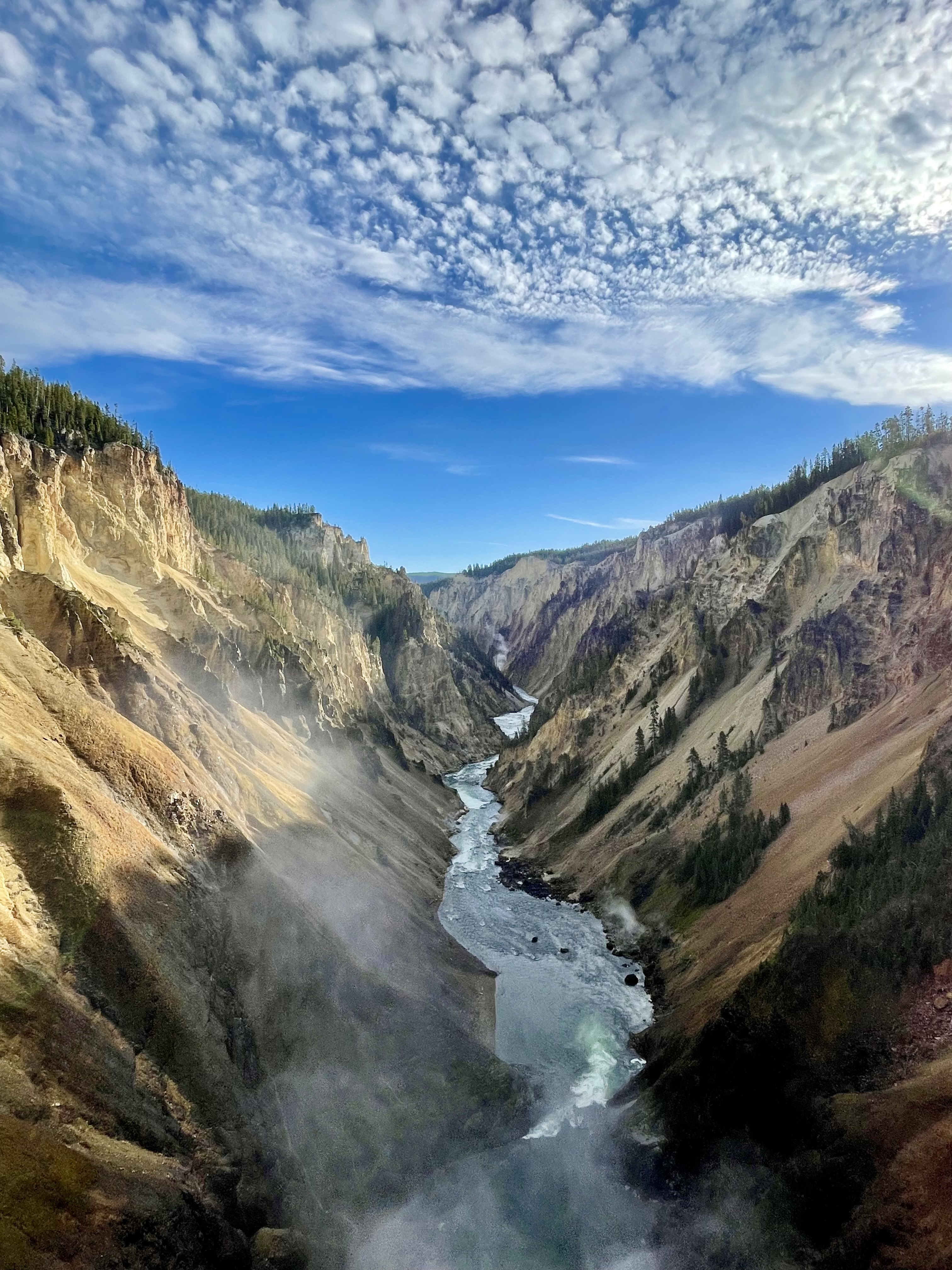 Yellowstone Photo 6298