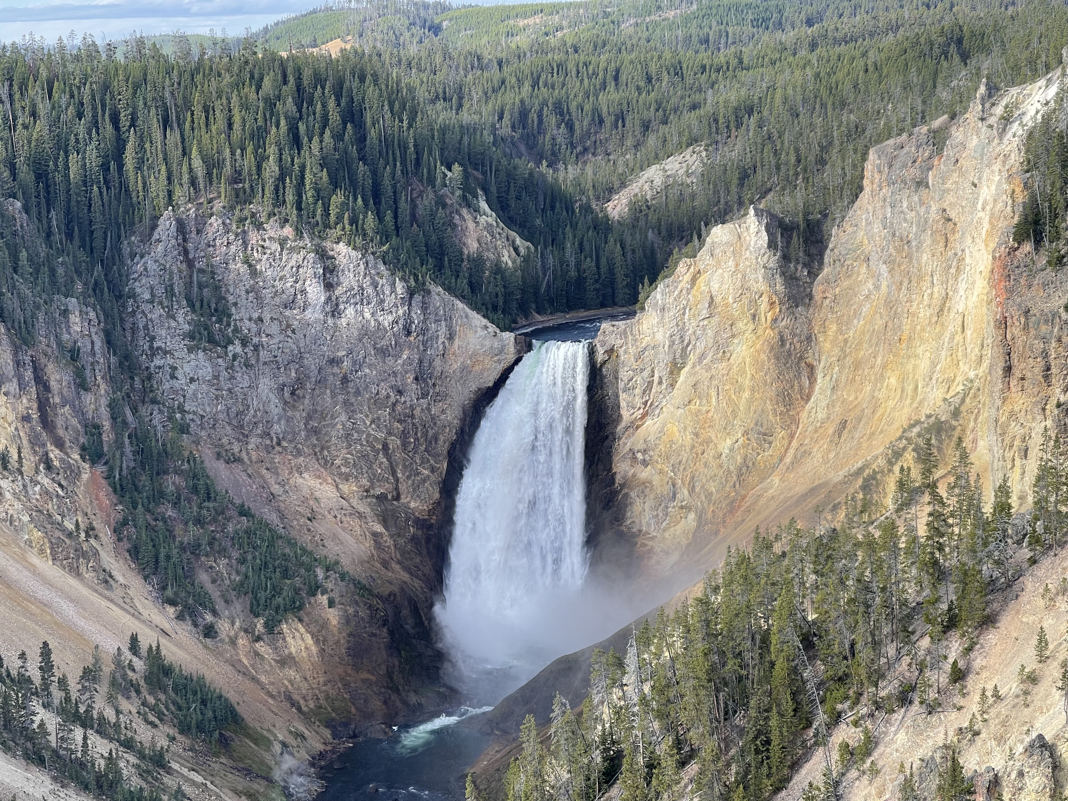Yellowstone Photo 6307