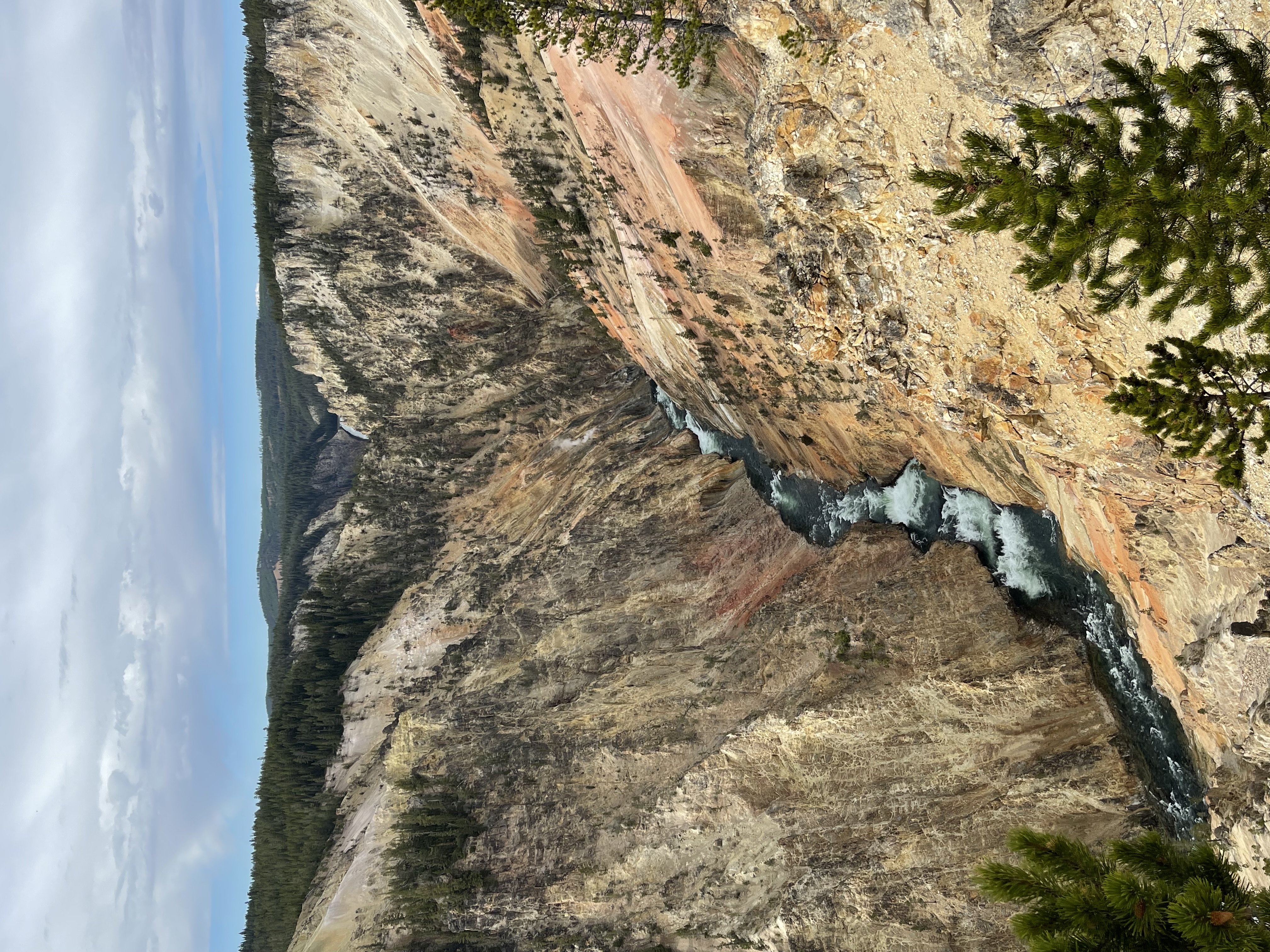 Yellowstone Photo 6331