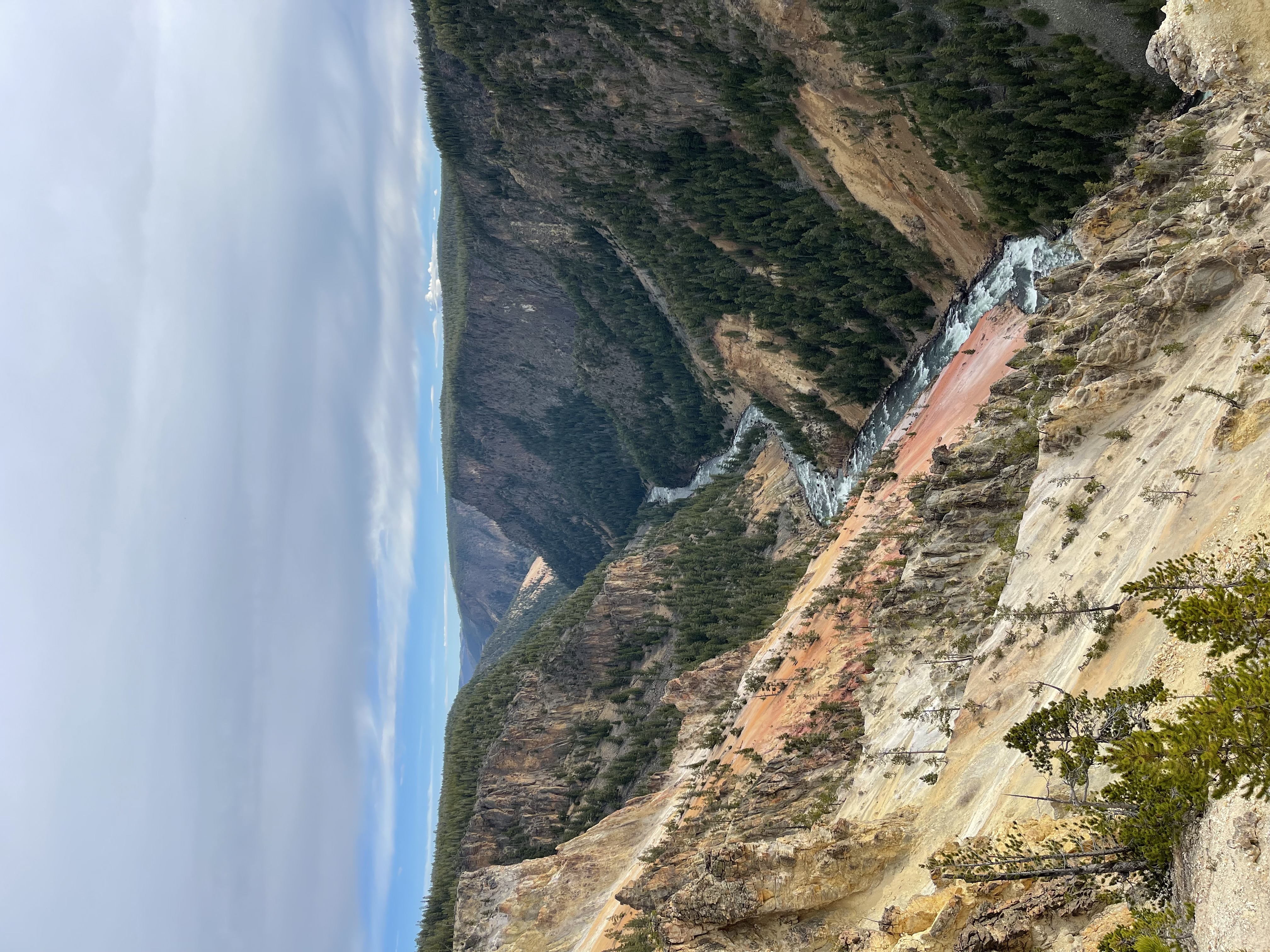 Yellowstone Photo 6337